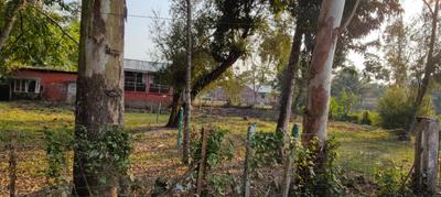 Image of 6372 Sq.ft Residential Plot / Land for sale in Kalakhowa Gaon, Jorhat for Rs. 7500000