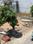 Samarth Premium Park Main Image 1