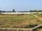 Tallavalasa Plot View 2