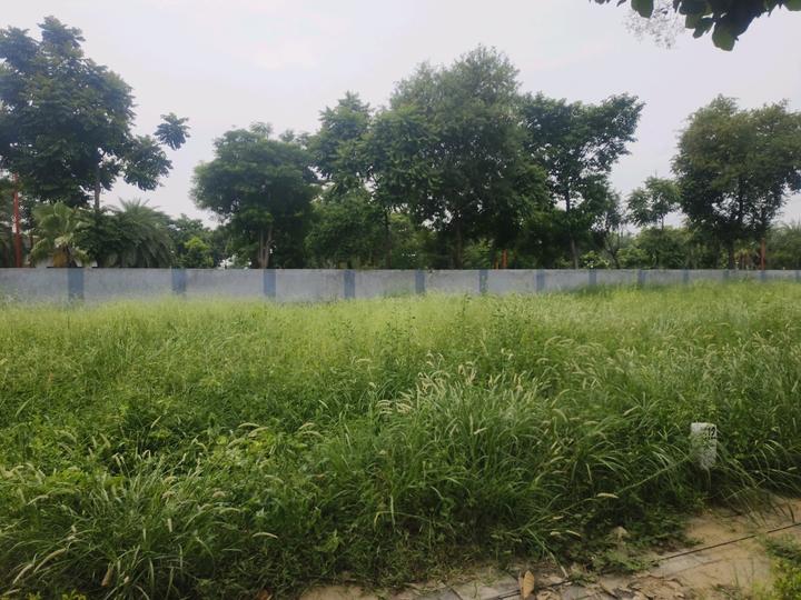 Lykehomes Avenue Main Image 1