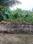 Probha Plot View 2