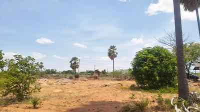 Image of 50097 Sq.ft Residential Plot / Land for sale in Tharuvai, Tirunelveli for Rs. 10000000