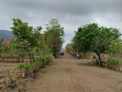 Raigadnagar Plot View 2