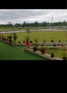 Residential Plot