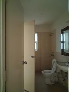 Common Bathroom Image of 1319 Sq.ft 3 BHK Apartment / Flat for sale in Jaypee Aman, Aurangabad Noida for Rs. 8600000
