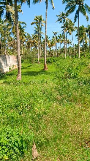 Simon Nagar Main Image 1