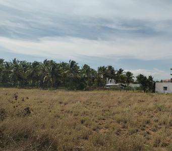 Kalapatti Plot View 3