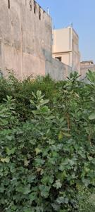 Image of 1000 Sq.ft Residential Plot / Land for sale in Kursi Road, Lucknow for Rs. 3500000