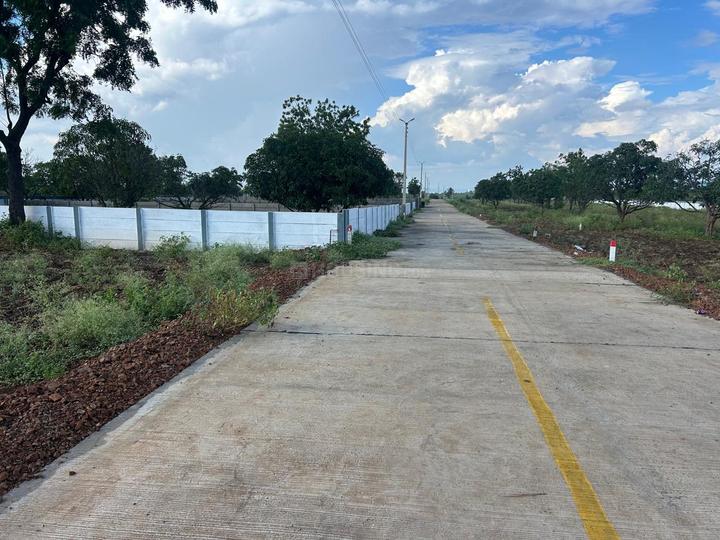 Uruli Kanchan Main Image 1