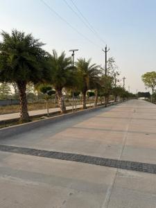 Image of 1152 Sq.ft Residential Plot / Land for sale in Torwa, Bilaspur for Rs. 1584000