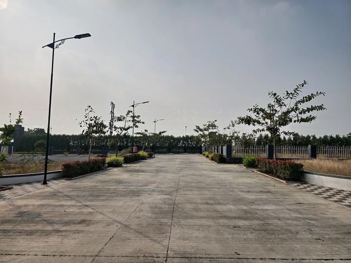 Uruli Kanchan Main Image 1