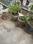 Balcony Image of Tarbahar  in Vidya Nagar, Bilaspur