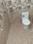 Misirpur kursi road Lucknow  Bathroom 1