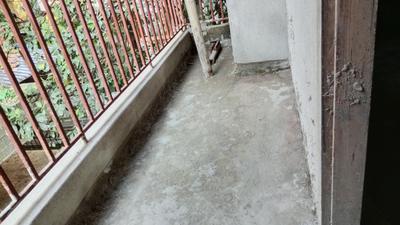 Balcony Image of 1270 Sq.ft 3 BHK Apartment / Flat for sale in Geeta Nagar Guwahati for Rs. 6700000