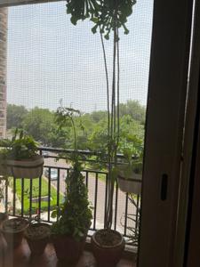 Balcony Image of 1777 Sq.ft 3 BHK Apartment / Flat for sale in DLF Regency Park II, DLF Phase 4 Gurgaon for Rs. 41000000