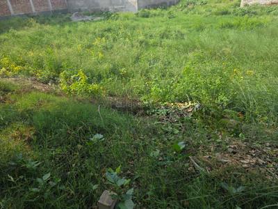 DLF Alameda Plot View 3