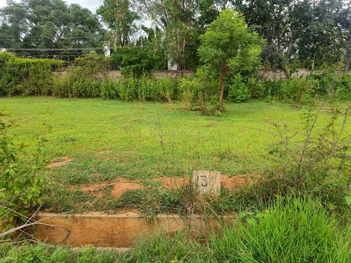 Magnolia Valley Woods Main Image 1