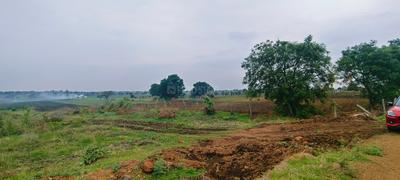 Image of 43560 Sq.ft Residential Plot / Land for sale in Medigadda, Ranga Reddy for Rs. 9000000
