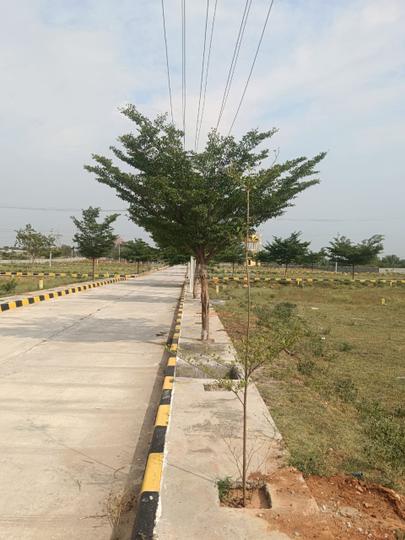 Kothur shadnagar hmda open plots Main Image 1