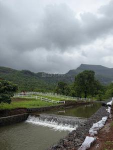 Image of 4801 Sq.ft Residential Plot / Land for sale in Malegaon T. Waredi, Thane for Rs. 4560950