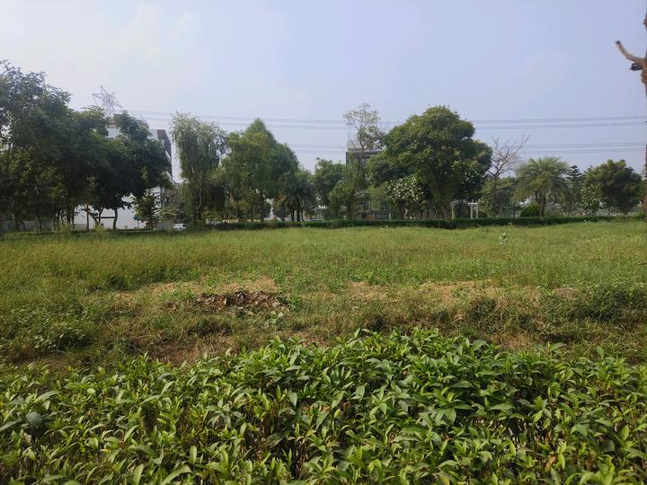 Orris Woodview Residencies Main Image 1