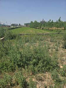 Image of 240 Sq.ft Residential Plot / Land for sale in Wave City Plots, Wave City, Ghaziabad for Rs. 36000000