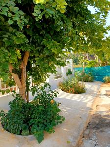 Image of 1500 Sq.ft 2.5 BHK Independent House for rent in Bogadi, Mysore for Rs. 40000