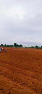 Image of 43560 Sq.ft Residential Plot / Land for sale in Mangalpally, Ranga Reddy for Rs. 9000000