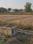 Sector 25 YEIDA Plot View 2