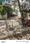 Sushant Golf City Main Image 1