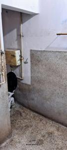 Bathroom Image of 1440 Sq.ft 3.5 BHK Builder Floor for sale in Gariahat Kolkata for Rs. 35000000