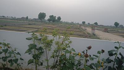 Image of 900 Sq.ft Residential Plot / Land for sale in Ramgarh Panjoopur, Aligarh for Rs. 400000