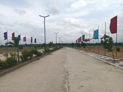 Century Nature City Internal Roads 2
