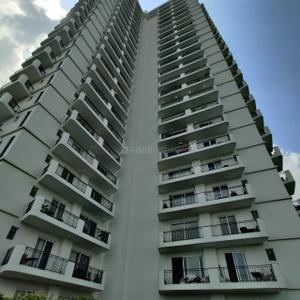 Image of 2475 Sq.ft 3 BHK Apartment / Flat for sale in Saan Verdante, Sector 95, Gurgaon for Rs. 43312500
