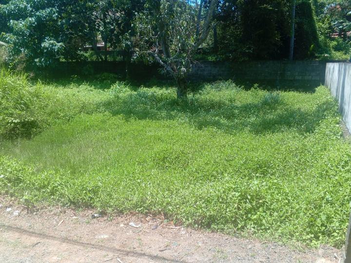 Santhi Nagar, Pulimoodu Main Image 1