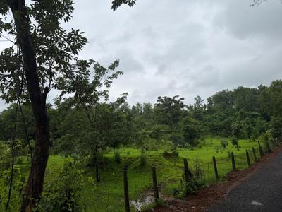 Image of 38115 Sq.ft Residential Plot / Land for sale in Murbad, Thane for Rs. 5250000