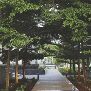 Image of 997 Sq.ft 2 BHK Apartment / Flat for sale in Hinjawadi Phase 3, Pune for Rs. 7800000