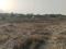 Sarde Plot View 2