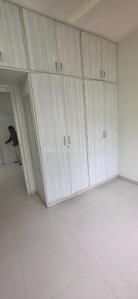 Bedroom Image of 900 Sq.ft 2 BHK Apartment / Flat for rent in C V Raman Nagar Bengaluru for Rs. 26000