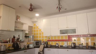Kitchen Image of 3750 Sq.ft 5 BHK Villa for sale in Kilpauk Chennai for Rs. 62500000
