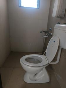 Common Bathroom Image of 1400 Sq.ft 3 BHK Apartment / Flat for sale in Jhala Manjri Greens 5, Hadapsar Pune for Rs. 11000000