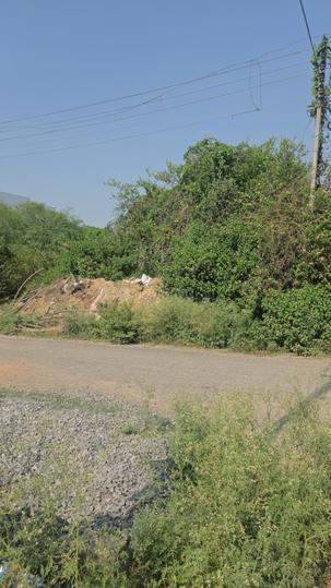 Sector 12 Main Image 1