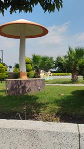 Image of 800 Sq.ft 1 BHK Builder Floor for rent in Mamta Golden Valley, Balya Kheda, Indore for Rs. 10000