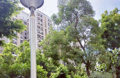 Image of Jaypee kosmos _1001 in Sector 134, Noida