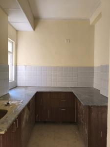 Kitchen Image of 1000 Sq.ft 2 BHK Apartment / Flat for sale in Amrapali Verona Heights, Noida Extension Greater Noida for Rs. 7865000