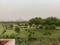Jaypee greens Golf plot  Plot View 2
