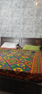 Bedroom Image of 1800 Sq.ft 2 BHK Apartment / Flat for rent in Tilak Nagar Jaipur for Rs. 35000