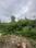 Kulhan Plot View 2