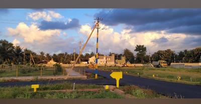 Dristi Habitat Plot View 1