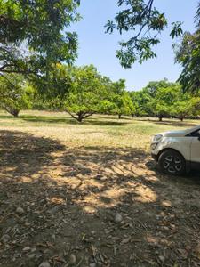 Image of 900 Sq.ft Residential Plot / Land for sale in Majra, Dehradun for Rs. 2100000